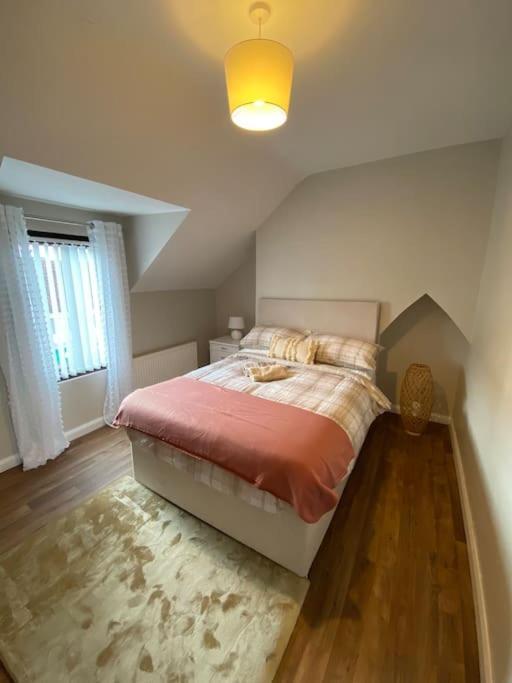 The Cozy Homestay 벨파스트 외부 사진