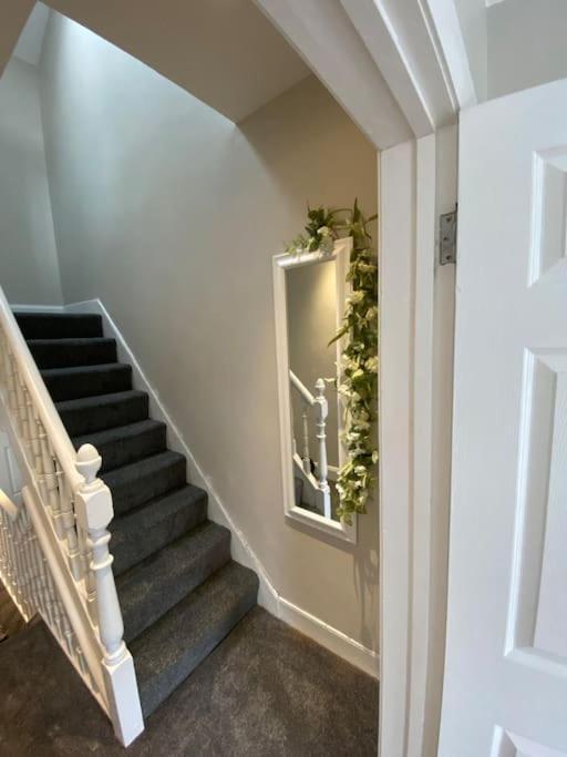 The Cozy Homestay 벨파스트 외부 사진